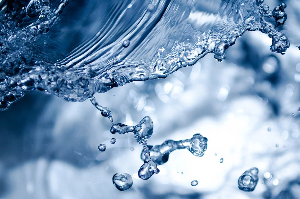 Fosse septique et fosse toutes eaux : quelles différences?