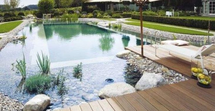 Piscine naturelle